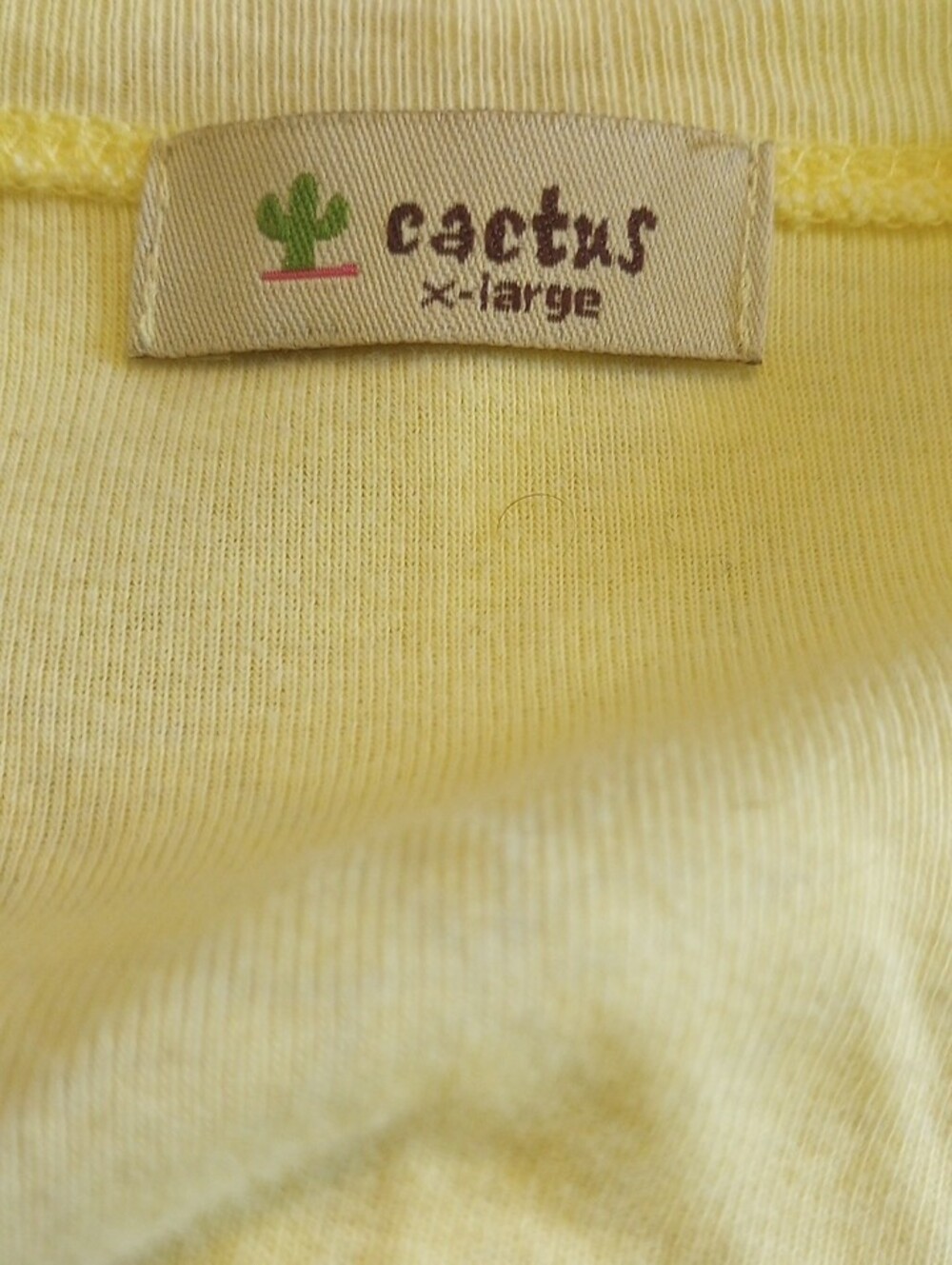 Cactus Pale Yellow Long Sleeve V-Neck Tee with Botanical Print - Picture 11 of 11